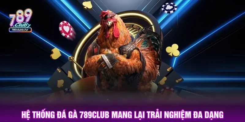 Đá gà 789CLUB thiết lập giải đấu đa dạng và công bằng