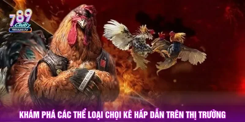 Những thể loại chọi kê nổi bật được săn đón hàng đầu